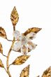  Gilded Brass Applique