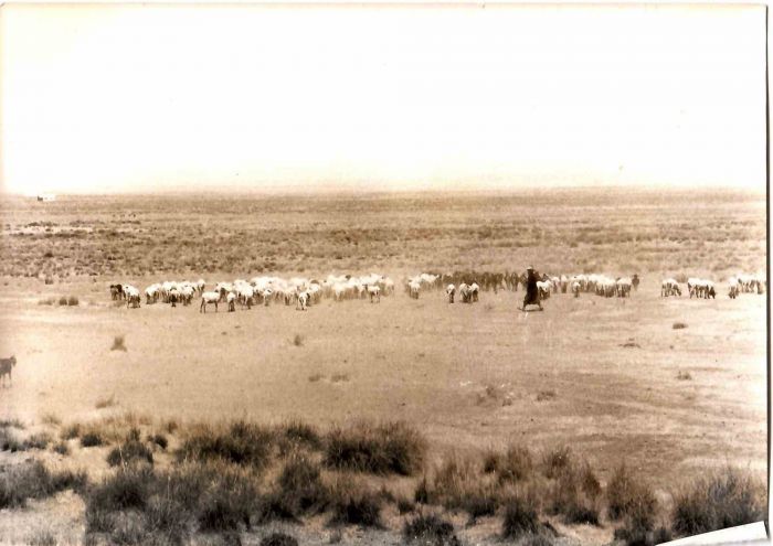Djebel Amour Vintage Photograph - Original Photographs