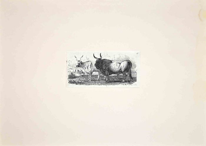 The Bulls  in the Roman Countryside
