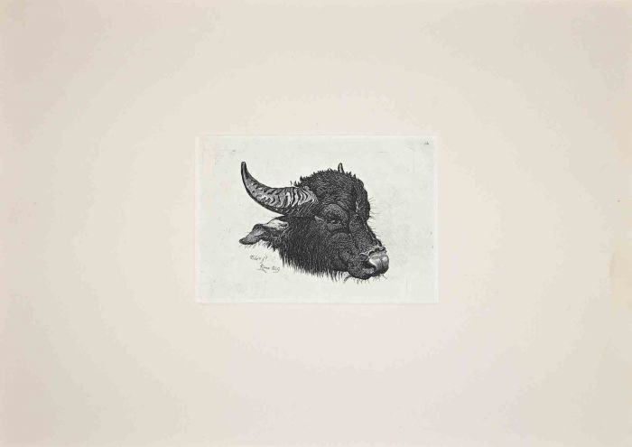 The Buffalo