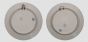 Pair of Decorated Plates