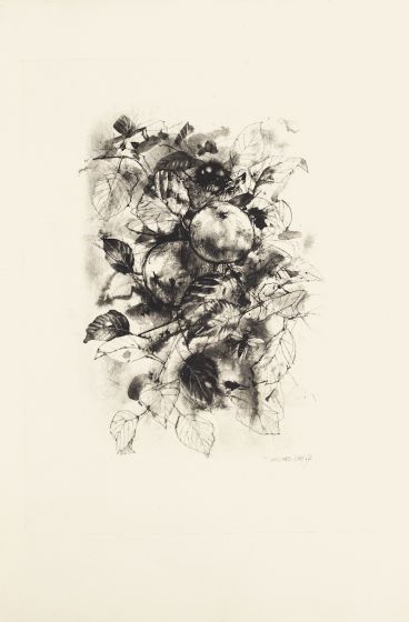 Fruitby Michel Ciry - Modern Artwork