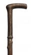 Garibaldi's Walking Stick