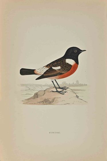 Stonechat