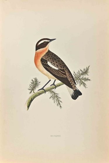 Winchat