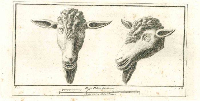 Ancient Roman Statues
