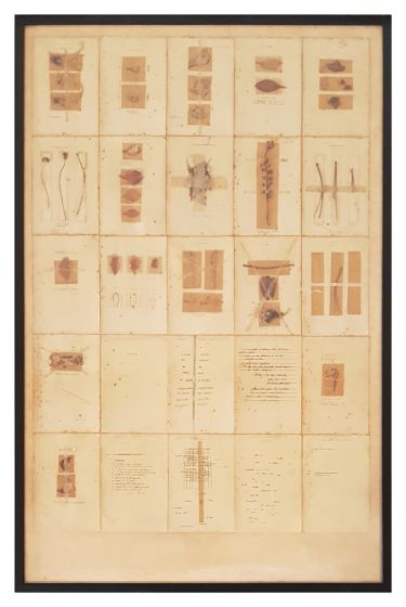 Journal herbier de Bordeaux by Anne and Patrick Poirier - Contemporary Art