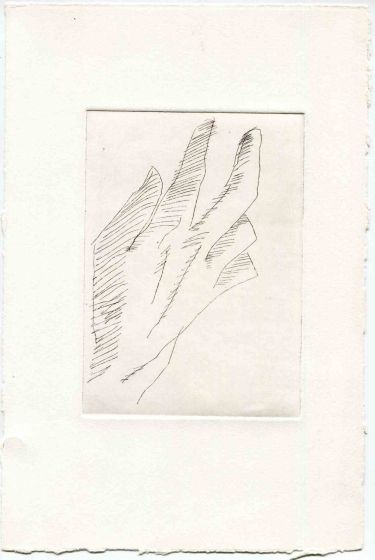 The Hand