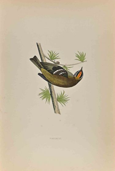 Firecrest