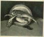Photograph of a Painting by Beppe Guzzi