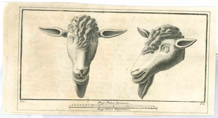 Ancient Roman Statues of Sheep 