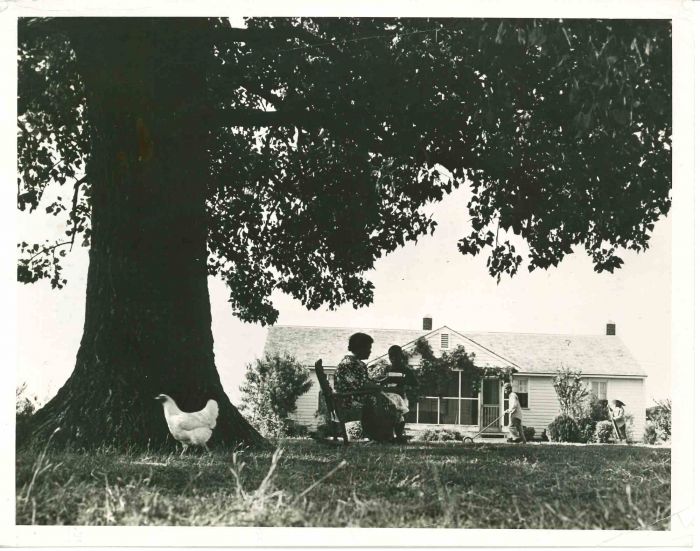 The Farmer's Home- American Vintage Photograph